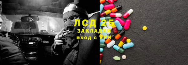 прущие грибы Баксан