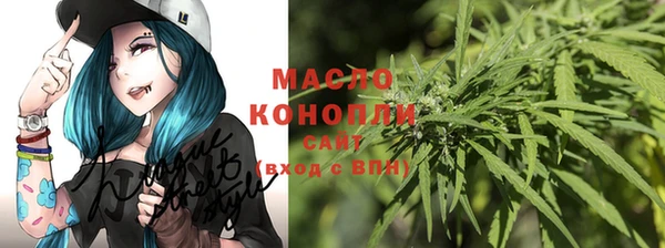 прущие грибы Баксан
